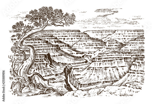 Grand Canyon in Arizona, United States. Graphic monochrome landscape. Engraved hand drawn old sketch. Mountain peaks with forest. Vector illustration for a poster or label.
