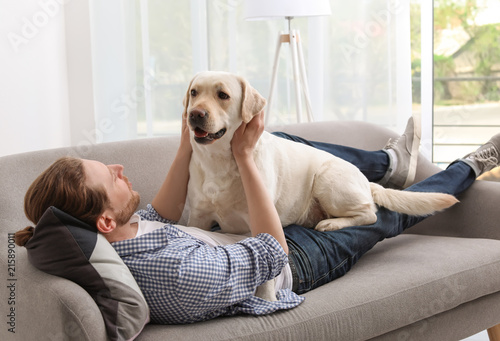 Adorable yellow labrador retriever with owner on couch indoors