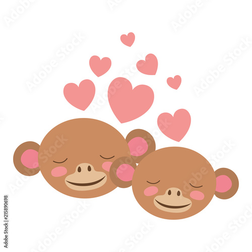 wild monkeys couple with hearts vector illustration design
