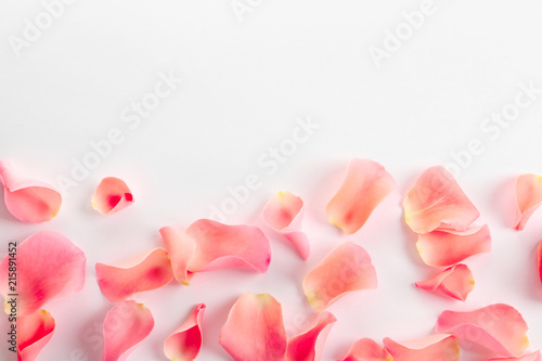 Beautiful rose petals on white background