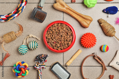 Fototapeta Naklejka Na Ścianę i Meble -  Bowl with food for cat or dog and accessories on floor. Pet care