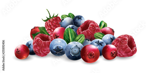 Raspberries, cranberries, blueberries and strawberries