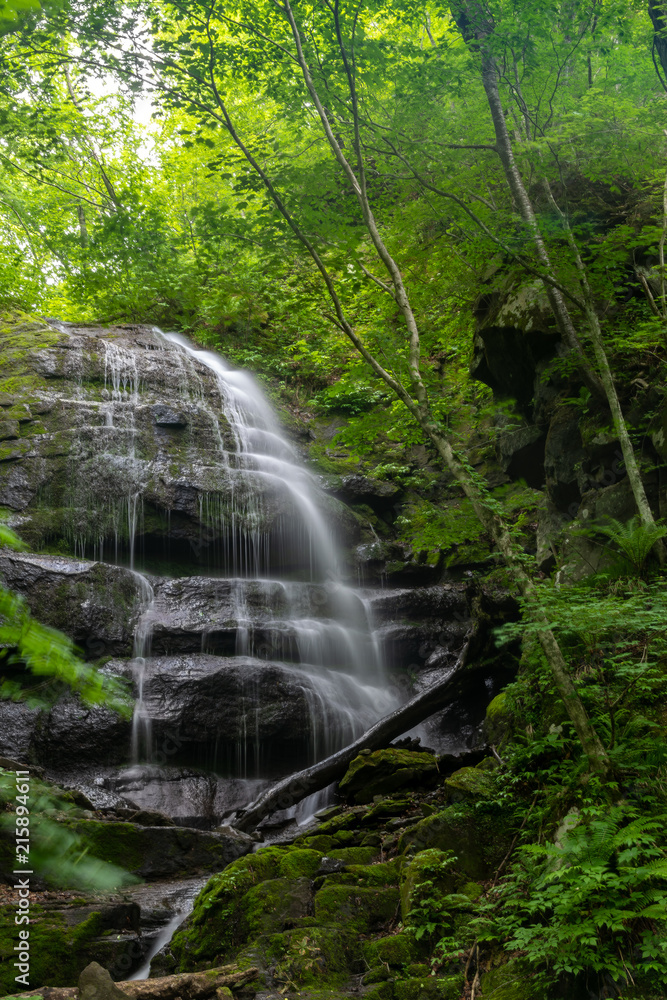 Kudan Falls, Japan Stock Photo | Adobe Stock