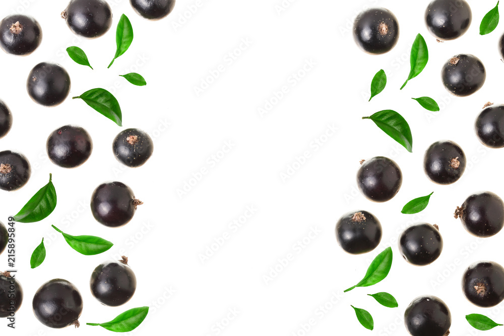 black currant isolated on white background with copy space for your text. Top view. Flat lay pattern black currant isolated on white background with copy space for your text. Top view. Flat lay pattern