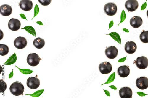 black currant isolated on white background with copy space for your text. Top view. Flat lay pattern