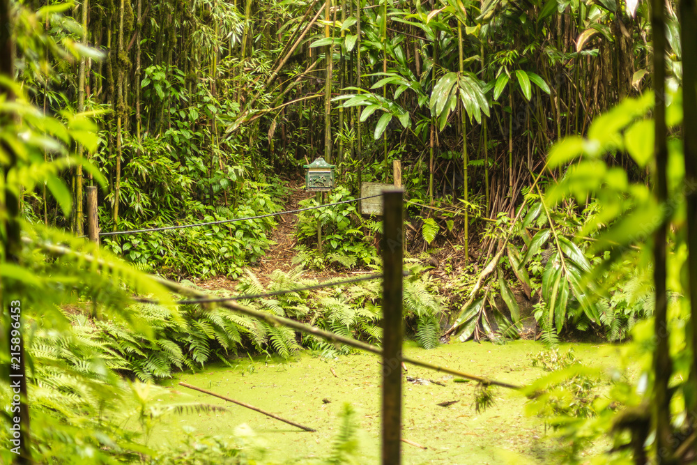 Ascension Island Ascension Island