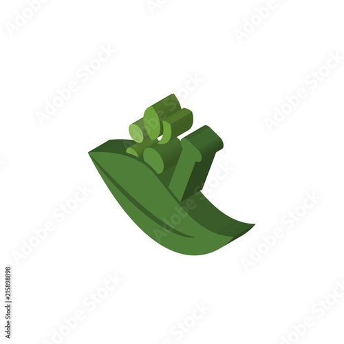 ayurvedic isometric right top view 3D icon