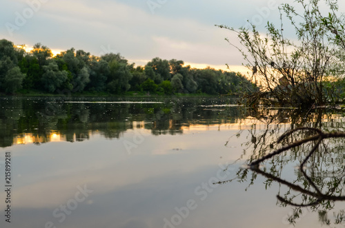 Calm river in the evening, the water reflects the trees and clouds. The view from the surface of the water, landscape