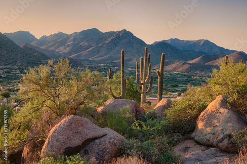 Saguaro cactus grow on the slopes of the Pinnacle Peak Park in the Scottsdale community, AZ. photo