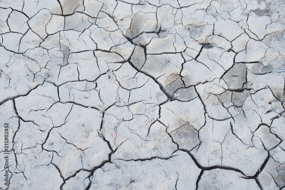 White cracked earth ground White cracked earth ground