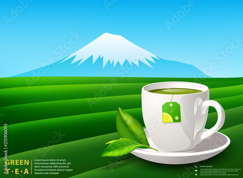 green tea leaves top view design on background.
