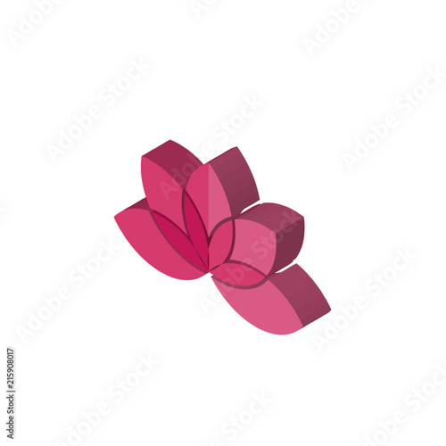 lotos isometric right top view 3D icon