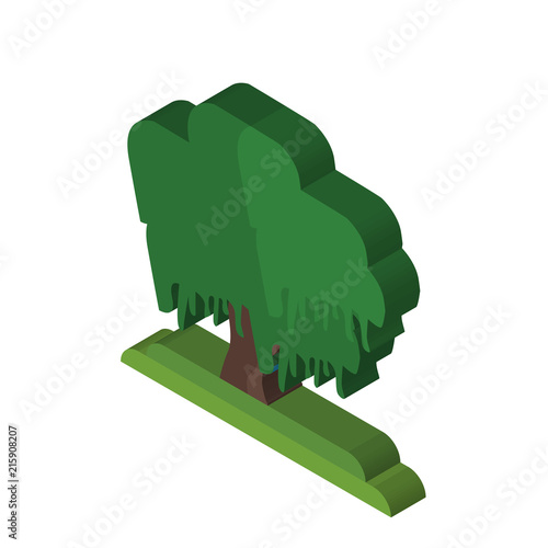Black Willow tree isometric right top view 3D icon