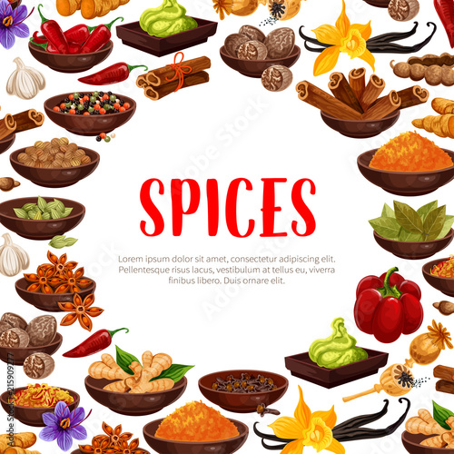 Vector poster of spices and seasonings
