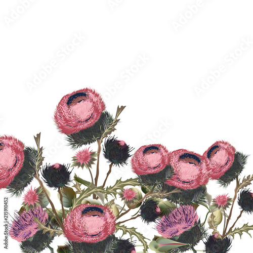 Botanical floral illustration for design. Ideal for fabric