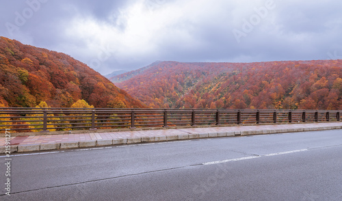 Jogakura bridge, mountain and valley with beautiful autumn season colors during mid October, Aomori, Japan. photo