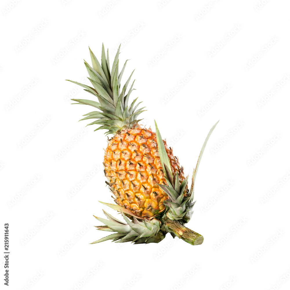 Obraz premium Pineapple whole organic white background with new shoots on stem, clipping cut out