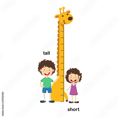 Opposite tall and short vector illustration
