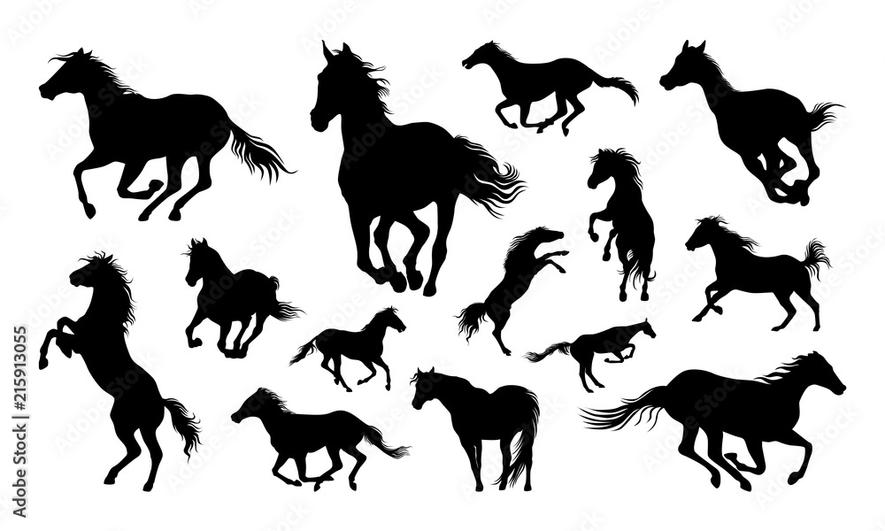 Fototapeta Sylwetka wektor zestaw ilustracji koni, kolekcja sylwetka konia