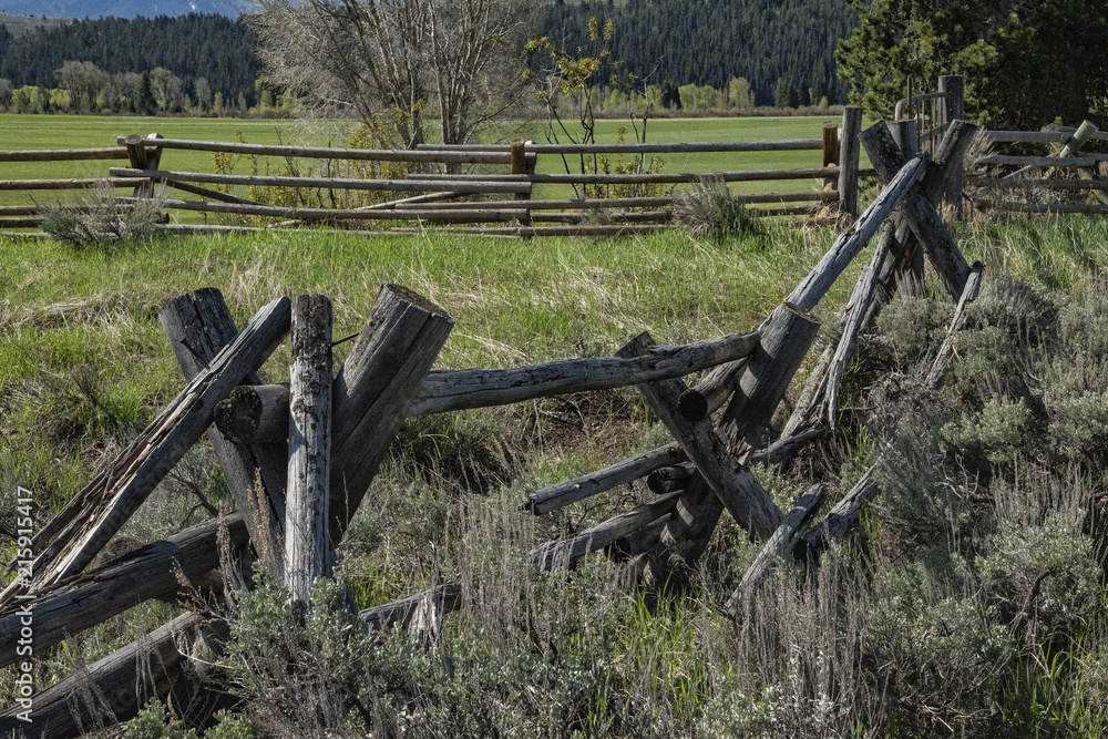 Fototapeta premium Mountain Country Near the Grand Tetons