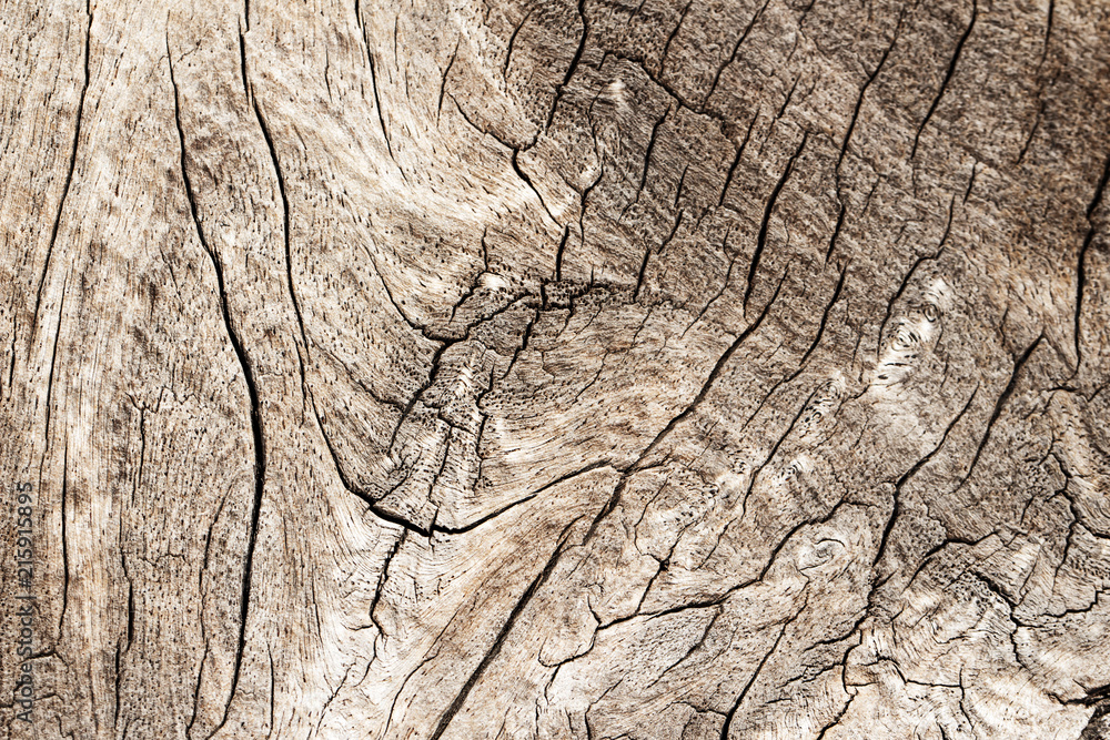 Texture of old wooden natural background Texture of old wooden natural background