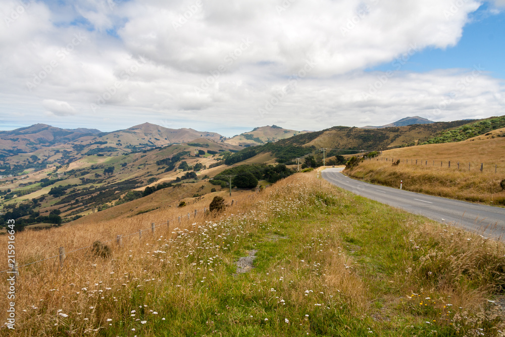 Road through the grasslands and hills of Akaroa, South Island, New Zealand