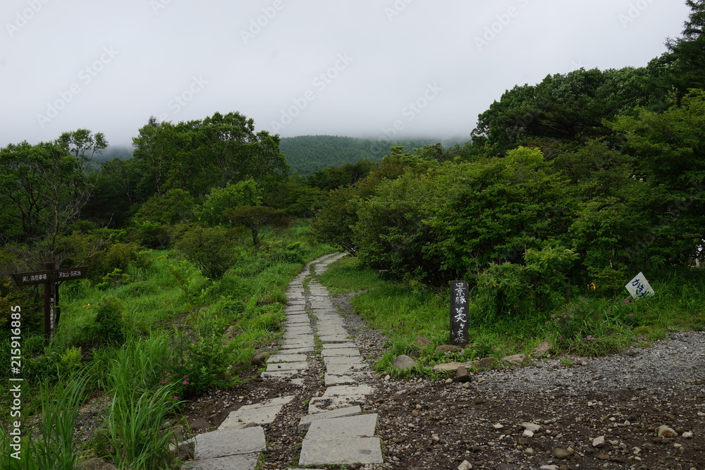 登山　山道　石畳　山　トレッキング　ハイキング　初夏　夏　初秋　山歩き　