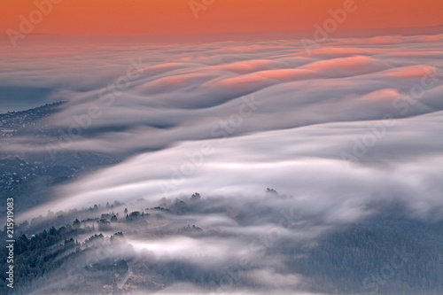 Mountain Tamalpais Fog