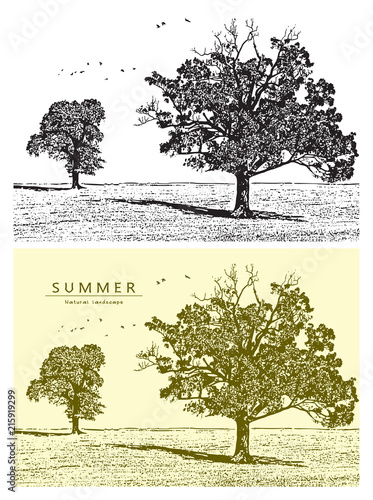 Summer landscape with trees, field and birds flying in the sky. Vector graphic illustration of summer nature in black and white and beige color, vintage style.