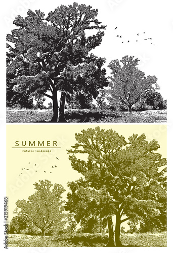 Summer landscape with trees, field and birds flying in the sky. Vector graphic illustration of summer nature in black and white and beige color, vintage style.