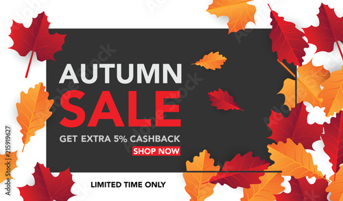 Autumn sale banner template with leaves, fall leaves for shopping sale. banner design. Poster, card, label, web banner. Vector illustration