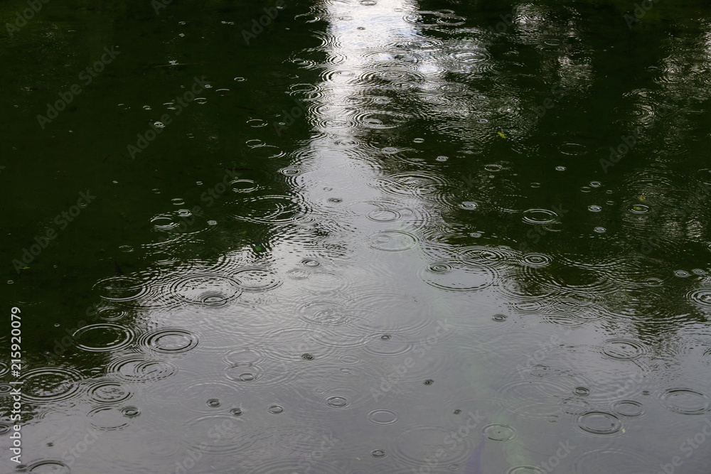 The sorrow of a rainy day The sorrow of a rainy day