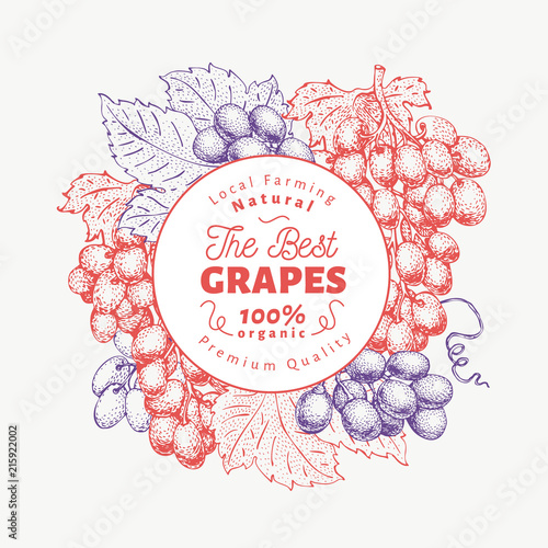 Grape berry design template. Hand drawn vector fruit illustration. Engraved style vintage botanical background.