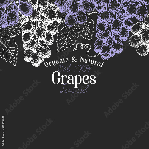 Grape berry design template. Hand drawn vector fruit illustration on chalk board. Engraved style vintage botanical background.