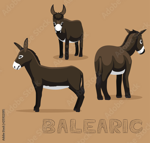 Donkey Balearic Cartoon Vector Illustration