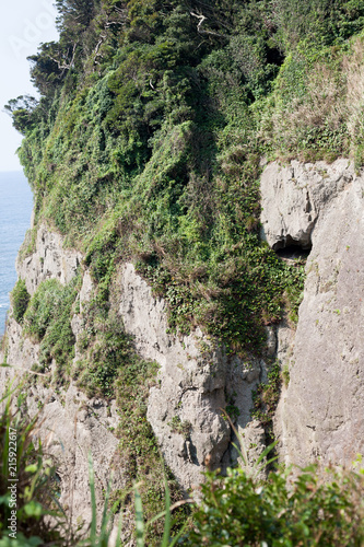 Sheer seas cliff in Japan