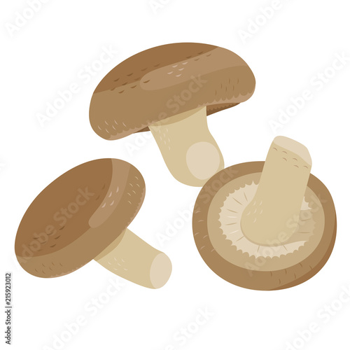 秋が旬のキノコ しいたけのイラスト Stock Vector Adobe Stock 秋が旬のキノコ しいたけのイラスト Stock Vector Adobe Stock