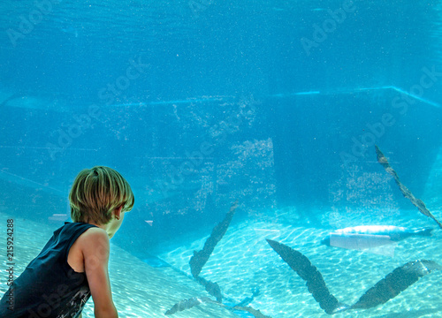 Silhouette of a boy looking at aeal in the aquarium