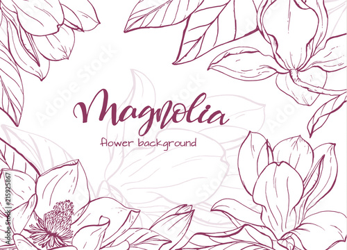 Sketch linear magnolia blossom.