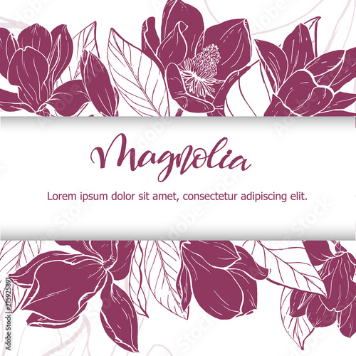 Sketch linear magnolia blossom.