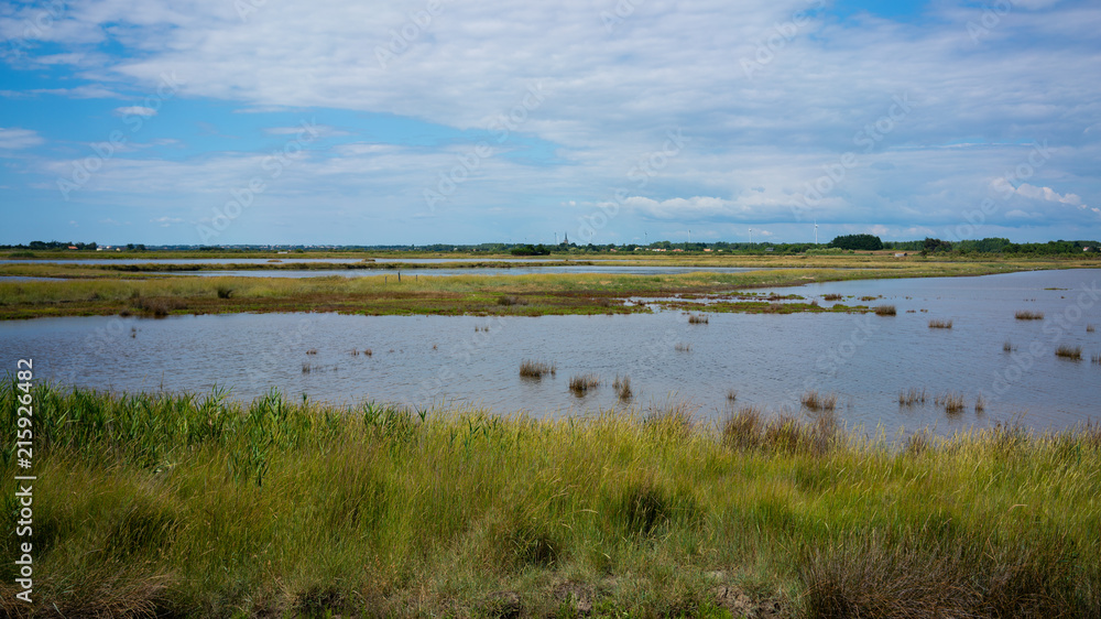 View of Marais d Olonne Olonne swamp in Vendee France