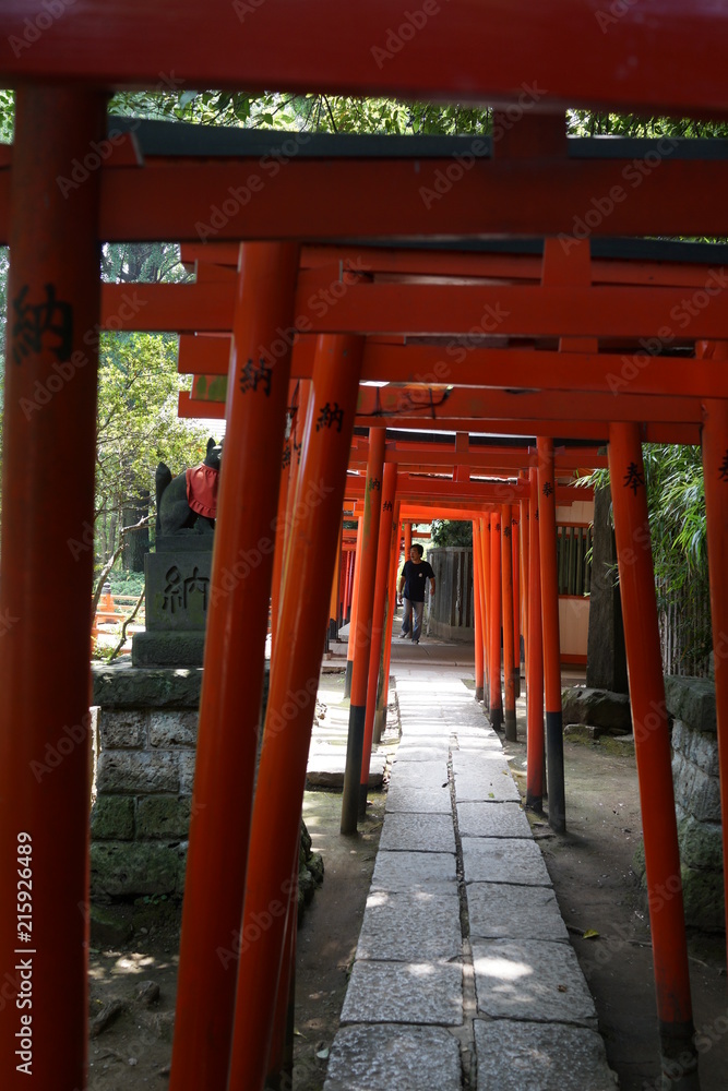 鳥居　赤い鳥居　根津神社　神社　日本　東京