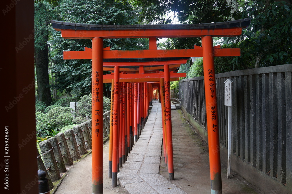 鳥居　赤い鳥居　根津神社　神社　日本　東京