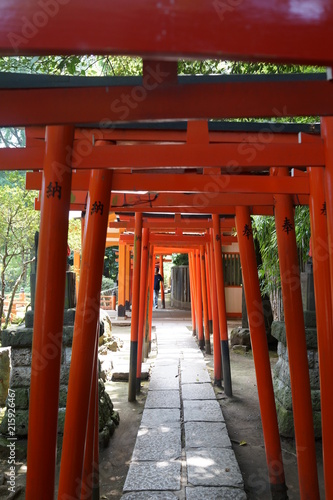 鳥居　赤い鳥居　根津神社　神社　日本　東京 © Yuko