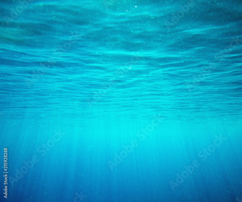 Tranquil underwater scene with copy space © Pakhnyushchyy