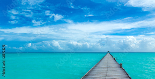 tropical Maldives island with beach , sea , blue sky © Pakhnyushchyy