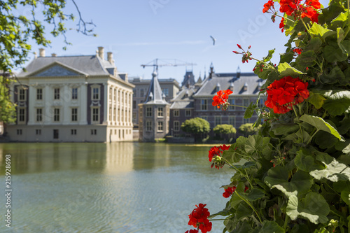 Fototapeta Naklejka Na Ścianę i Meble -  Bush of geranium on the background of buildings Binnenhof
