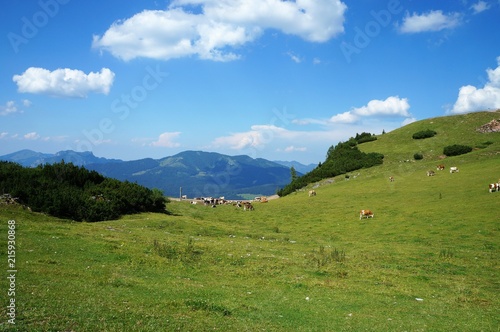 Berg, Alm, Panorama