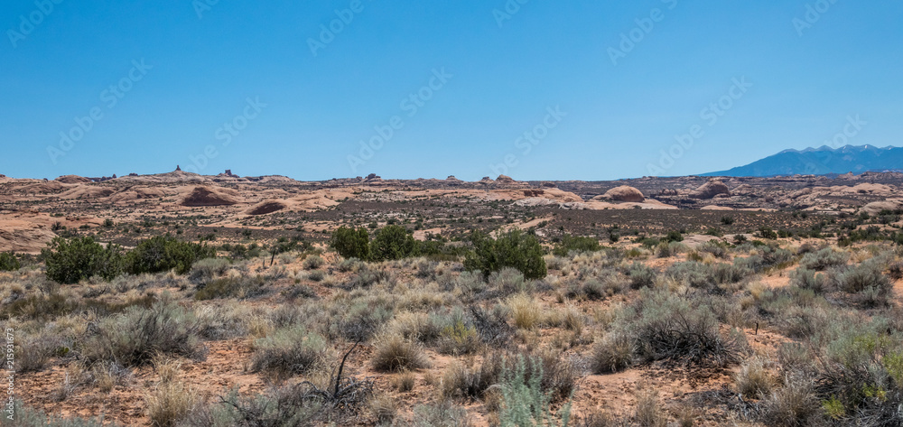 Desert landscape of Utah, USA. Lifeless desert plain