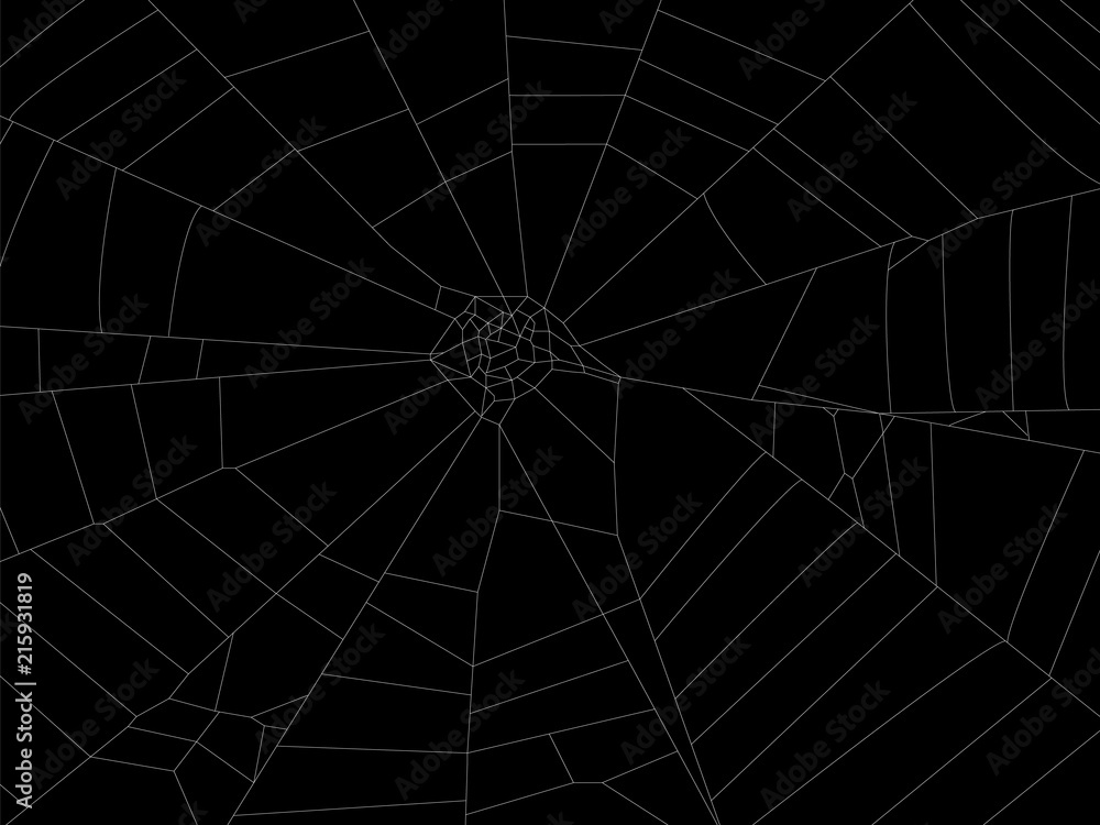 Round spider web element illustration for design.